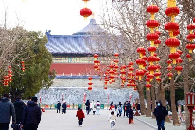 天坛公园的红灯笼营造了喜庆祥和的氛围。新京报记者 薛珺 摄