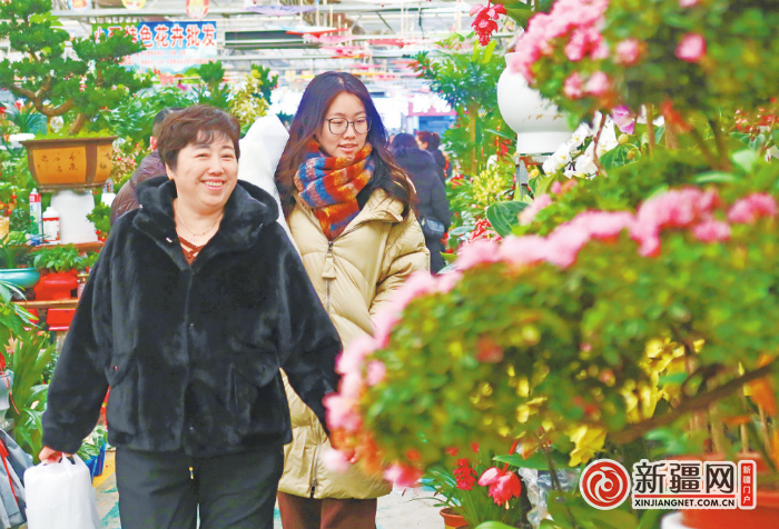 2月8日，市民在新联花卉市场选购花卉。（全媒体记者迪丽娜尔·加力肯 陈岩 实习记者雷婷摄）