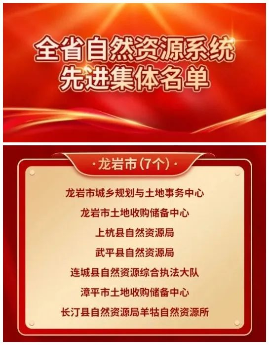 漳平陈群峰林志平获评省先进个人