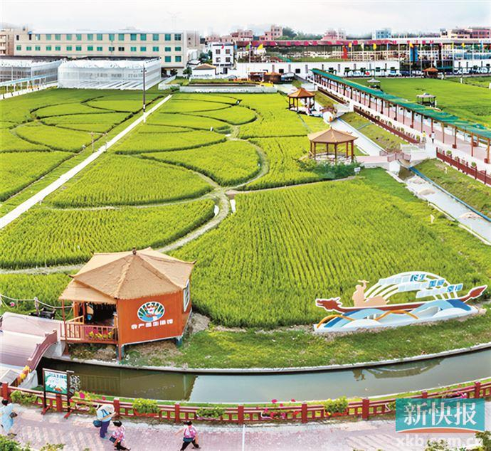 年,广州市白云区人和镇在宜居宜业魅力空港城建设初现雏形的基础上