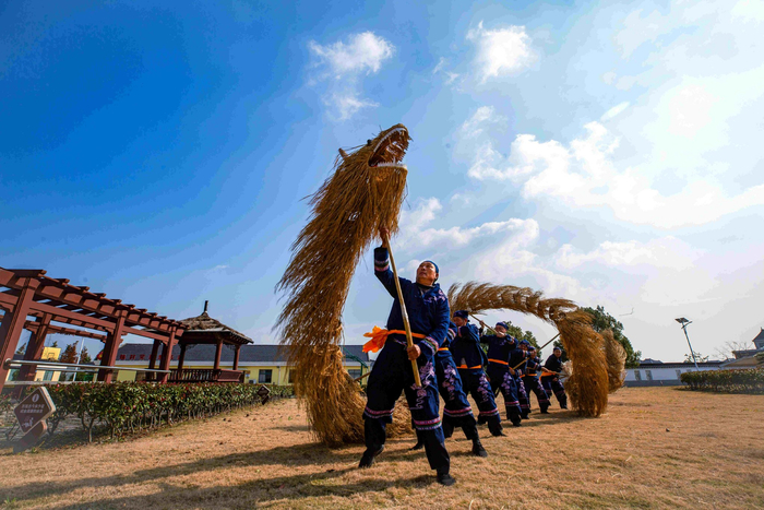 金龙昂首唤春归国家级非遗上海舞龙的发展辉煌与传承