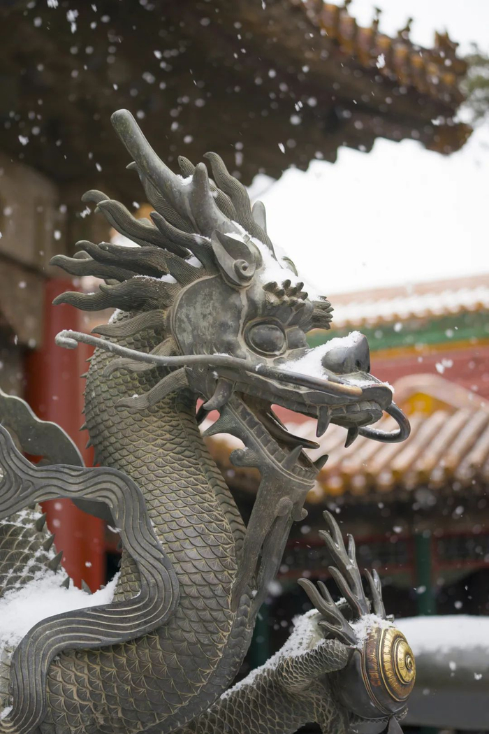 明清，戏珠铜龙，故宫博物院。
