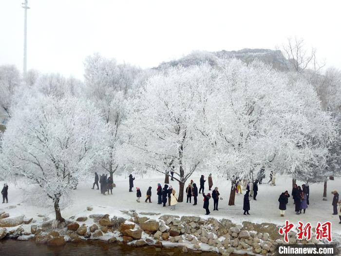 吉林松花江畔现雾凇景观