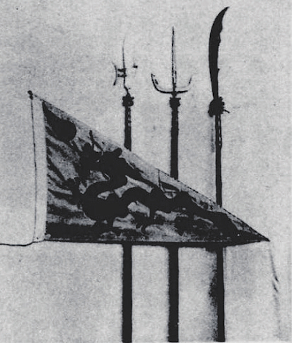 游就馆藏三角龙旗