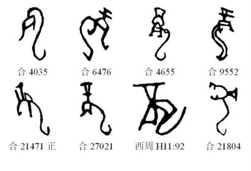 甲骨文中的“龙”字。图源：《甲骨文常用字字典》