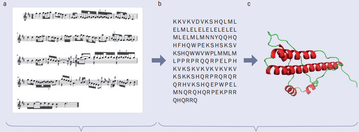 龙年新春听巴赫蛋白分子协奏曲