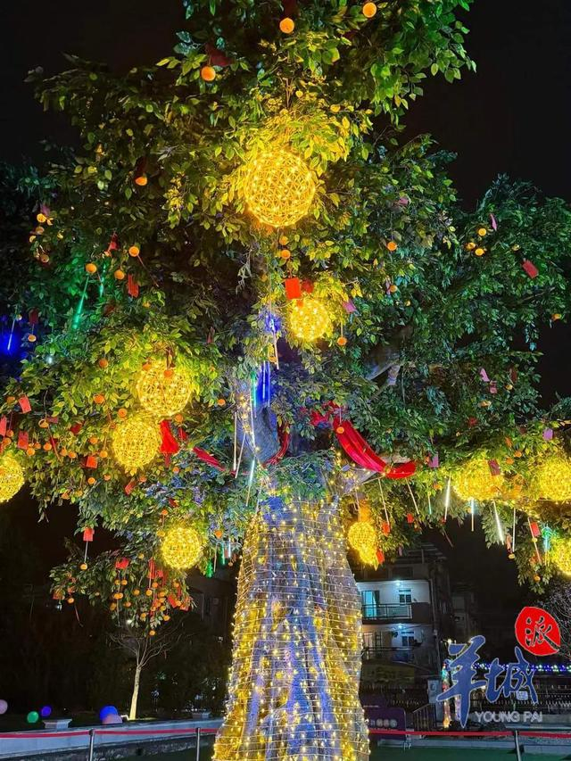 许愿宝牒树上抛,香港林村"许愿节"新春人气旺|林村许愿树|许愿|林村