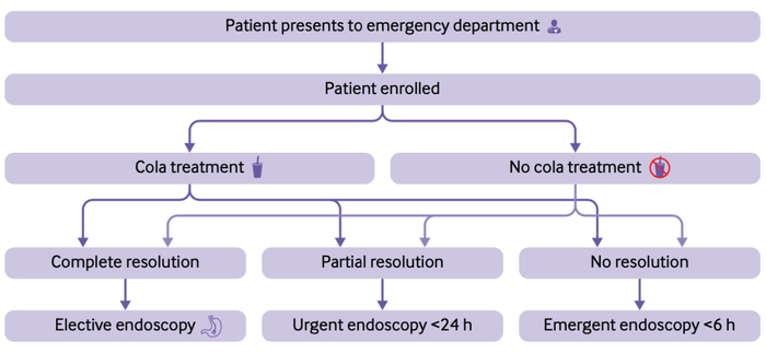 图丨相关研究方案（来源：British Medical Journal）