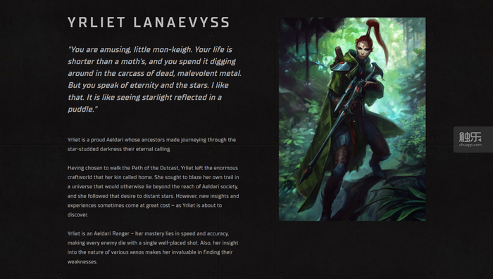 《战锤40k:行商浪人》:猫头猫社的十字路口|战锤40k