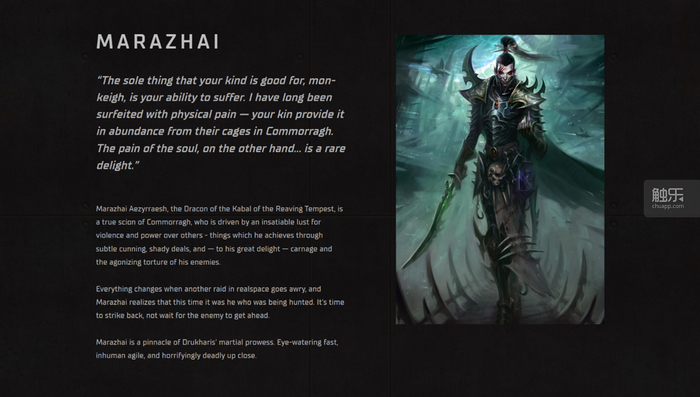 《战锤40k:行商浪人》:猫头猫社的十字路口|战锤40k