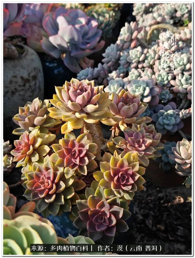 肯尼迪_新浪新闻