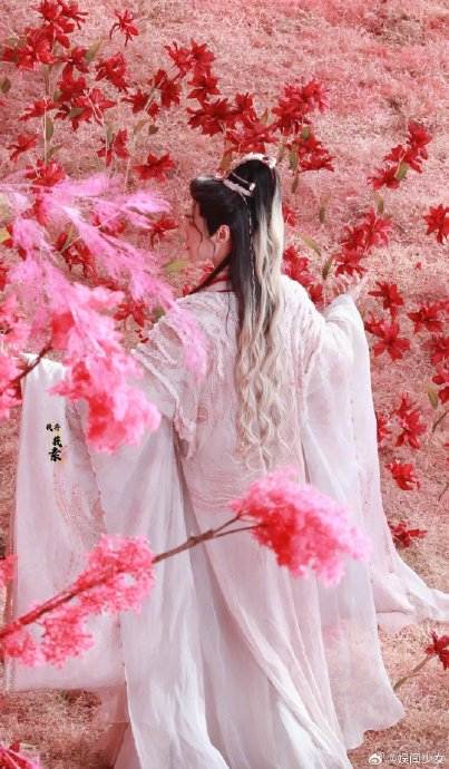 罗云熙唐俪辞水龙吟花海绝美路透图9615期待正片