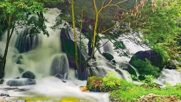 新春旅行攻略来啦!|| 897推荐||市