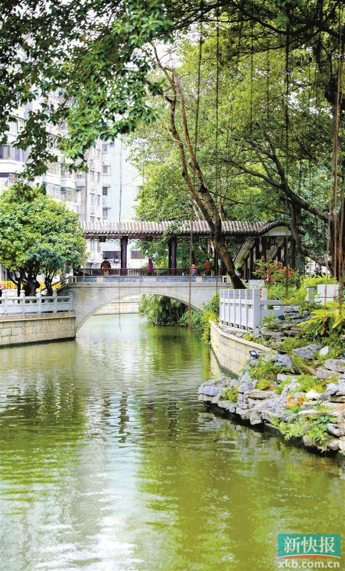 龙年食游广州|荔湾胜境:荔枝湾