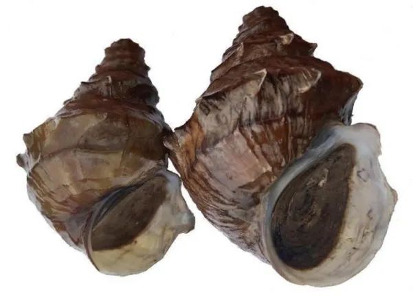 本文图均为&nbsp;大理融媒 图