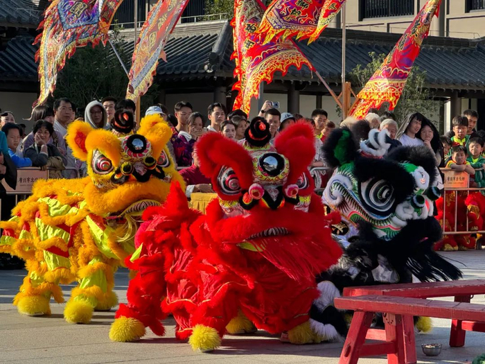 在中国,舞狮主要分成两个流派.一派是以长江以北为文化源地,叫作北狮.