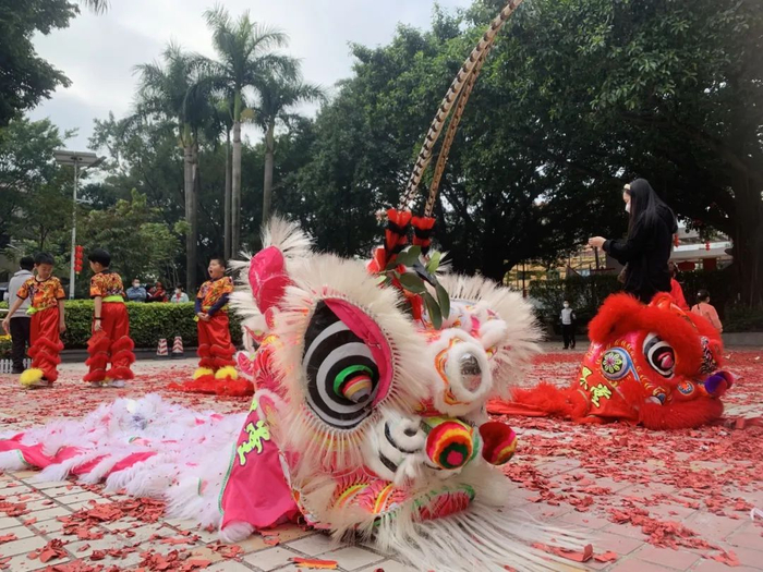 龙年看舞狮,主打一个心想狮成|舞狮|醒狮|武术_新浪新闻