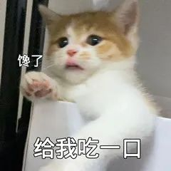 一碗拌粉做了18年!她家店门口排长龙,你去打过卡吗?