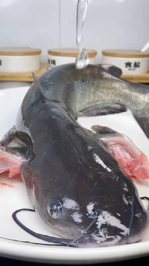 不会做鱼的朋友看过来鱼这样去腥才彻底美食