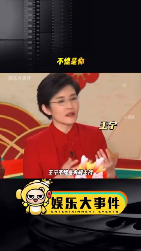 王宁不愧是央视主持就是光明正大的把你架起来内涵