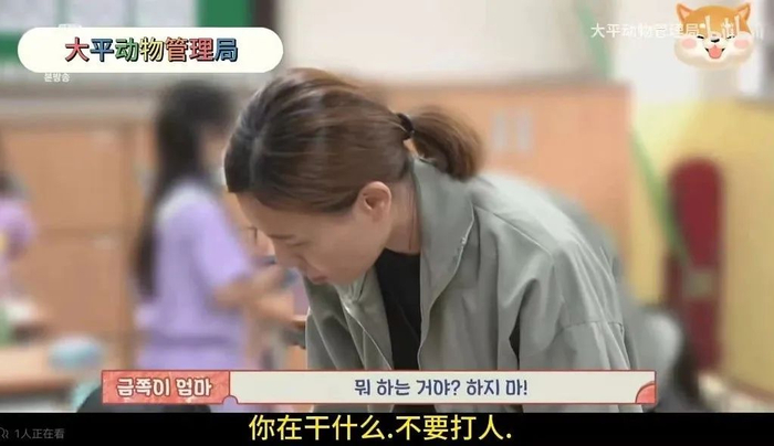 图源：哔哩哔哩《太平动物管理局》