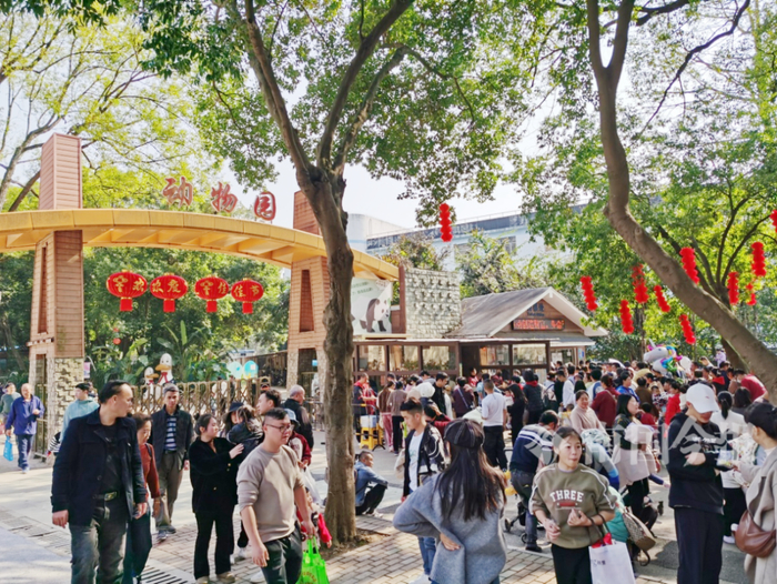 2月12日，农历大年初三，太阳高照，气温回升，许多市民游客选择到柳州动物园游玩。韦兴科 摄