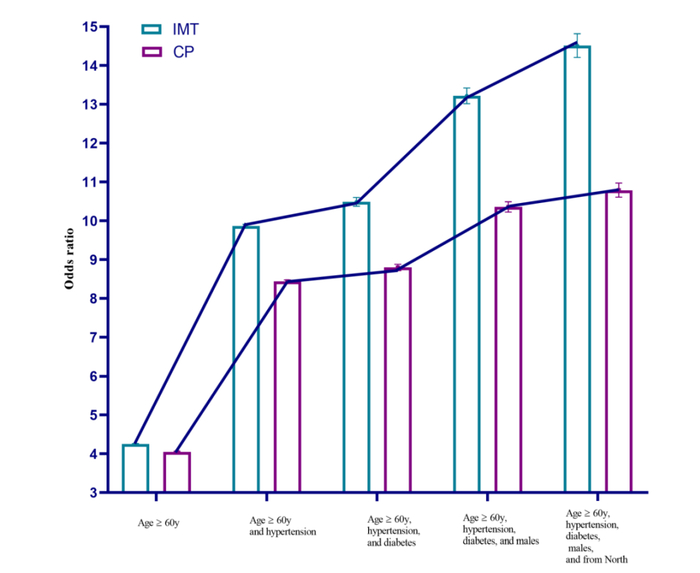 合并年龄、高血压、糖尿病、性别、地域等危险因素时，颈动脉内膜-中层厚度、颈动脉斑块风险增加。