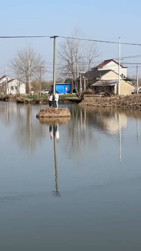 鱼塘塘主这俩怎么上去的