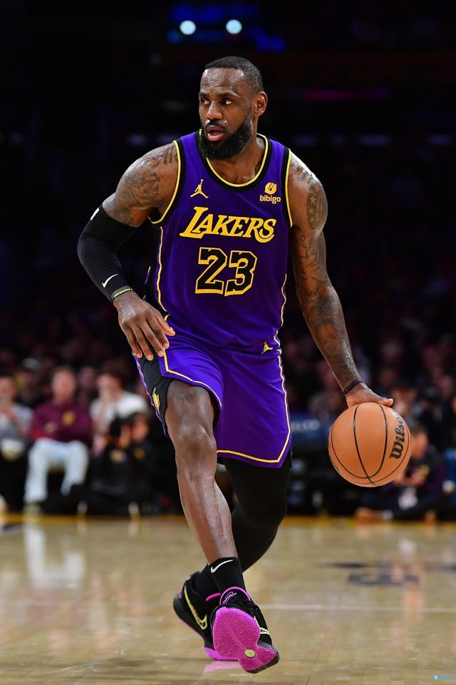 詹姆斯15中9拿到25分8助攻|湖人|詹姆斯|nba常规赛_新浪新闻