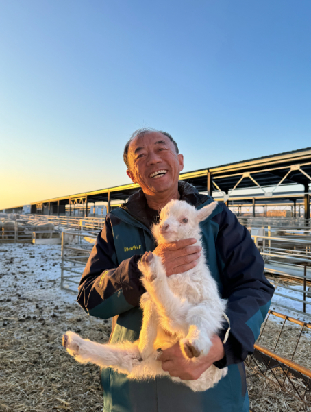 正月初一,村委会主任乔长厚在新村的新羊圈抱着小羊羔.