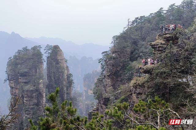 【新春走基层】武陵源各景区喜迎新年旅游"开门红"|武陵源|国家森林