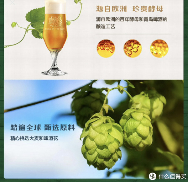 青岛啤酒奥古特评测传统与创新的完美融合