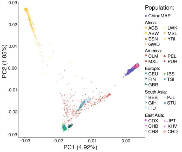 图片来自参考文献④