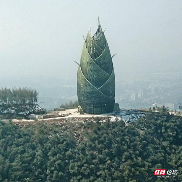 助力竹笋产业"节节高",桃江县惊现"大竹笋"建筑|湖南省_新浪新闻