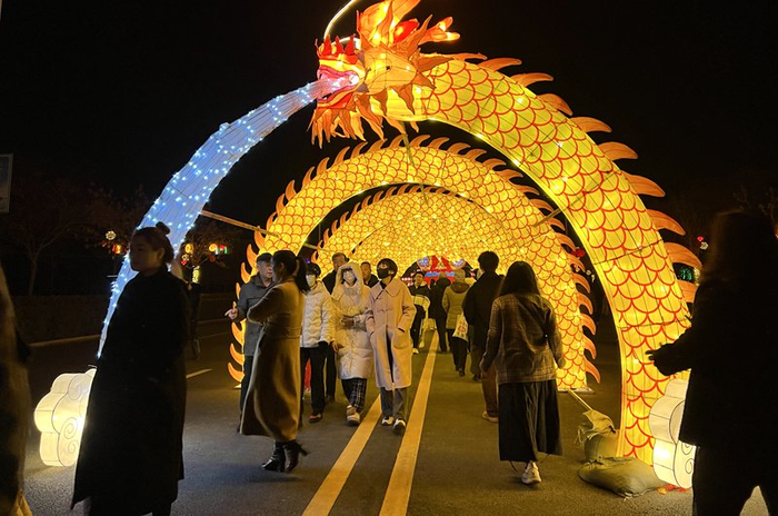 龙腾虎跃闹新春花灯展点亮灵州古城