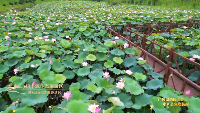 百县百景百家谈|嘉鱼县:江风湖韵康养地 水乡嘉鱼焕新