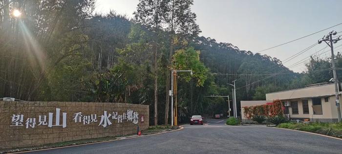 新春走基層連平縣陂頭鎮鄉村振興展新顏美麗風景入畫