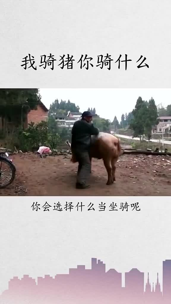 太乙真人真真人