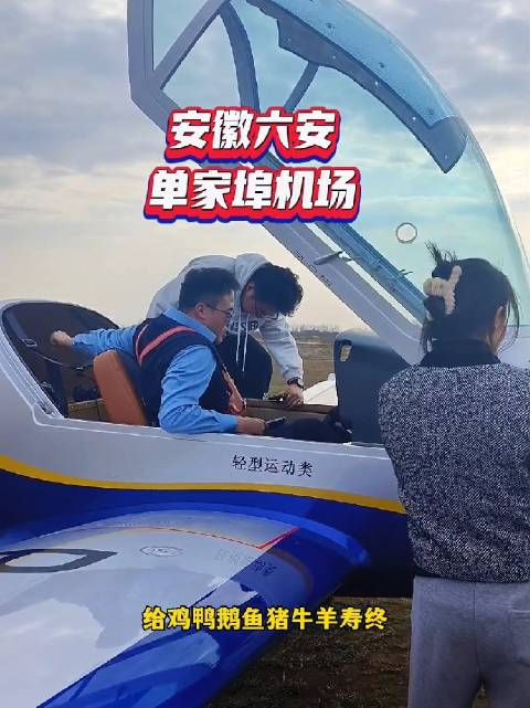 安徽六安,单家埠机场_手机新浪网