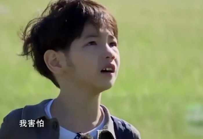 被他"骂大"的儿子如今怎样了?|杨烁|杨雨辰_新浪新闻