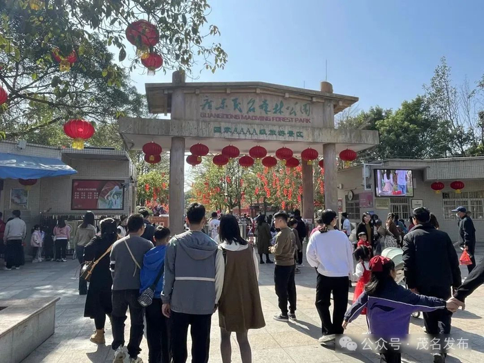 前来茂名森林公园游玩的市民游客络绎不绝