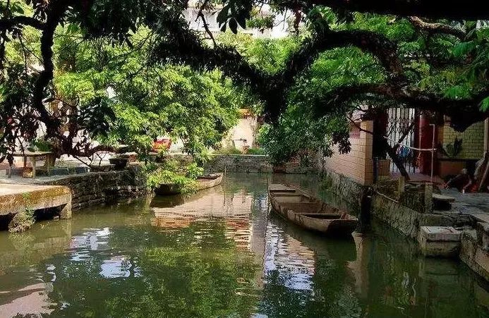 广州值得一去的7大古镇古村!满眼都是美和诗意|广州市