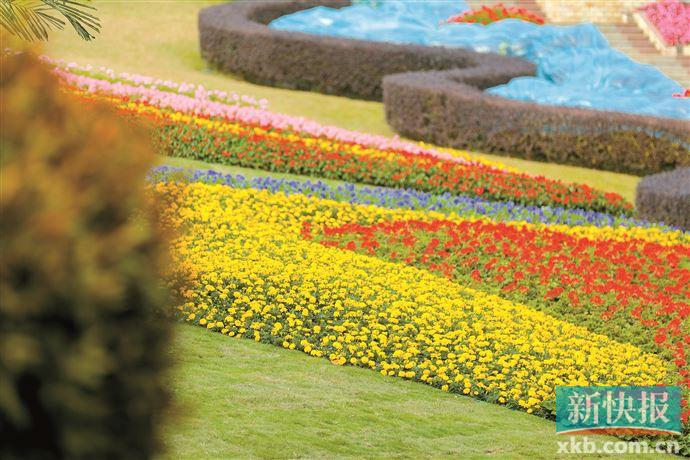 龙年食游广州云山叠翠白云山