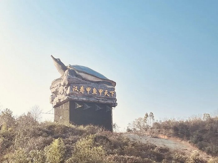 通往汉寿的高速公路旁的甲鱼雕塑。图源：时代财经/摄