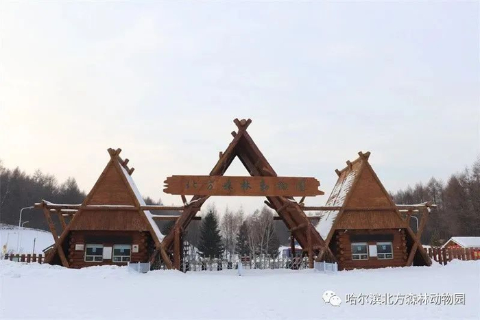 图源哈尔滨北方森林动物园公众号