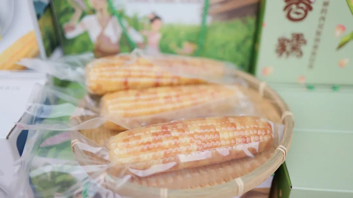 小糯玉米 西双版纳州委宣传部 供图