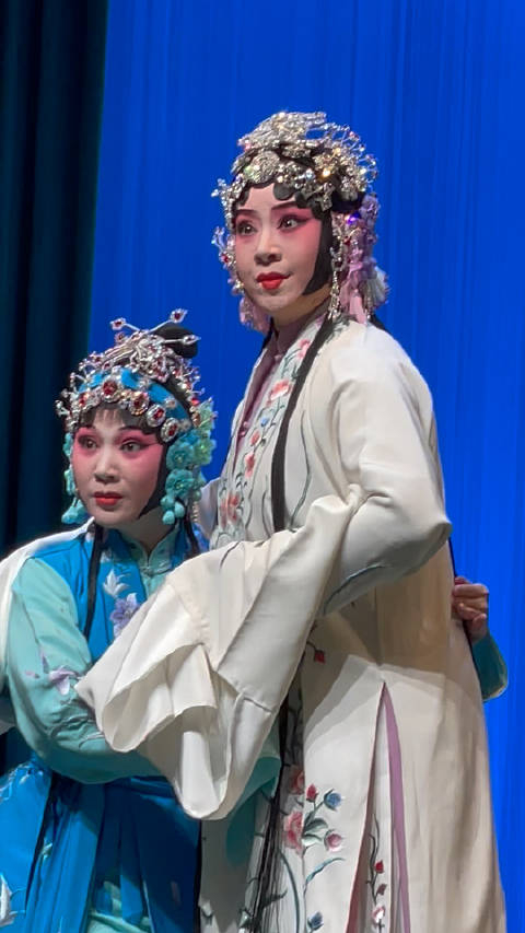 精变评剧白蛇传郑岚