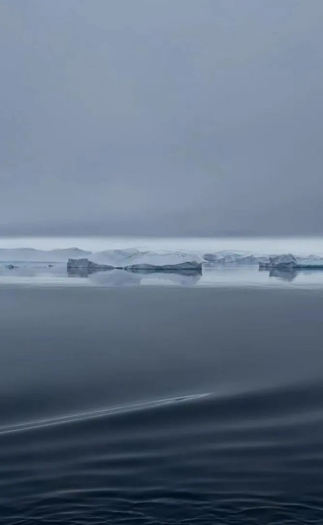 ▲受访者胡静供图