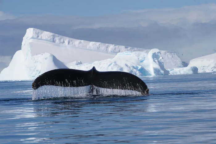 ▲受访者荆棘树供图