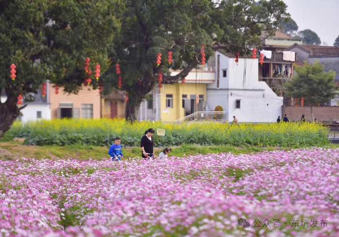 人少还免费抓住假期尾巴东莞这些好去处别错过